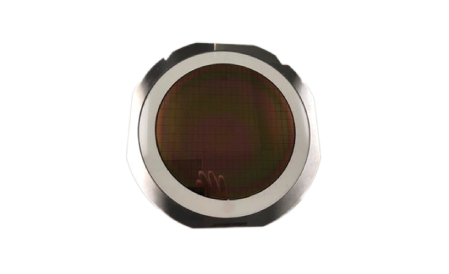 Wafer Ring with Mounted Wafer