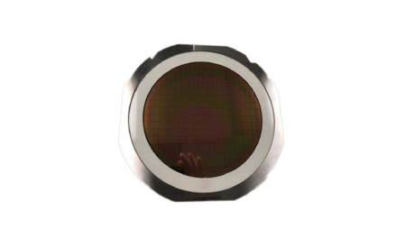 Wafer ring with protective layer for precision inspection