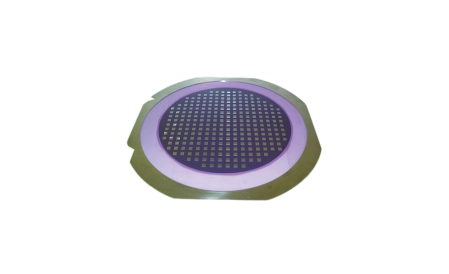 Patterned wafer ring positioned for inspection process