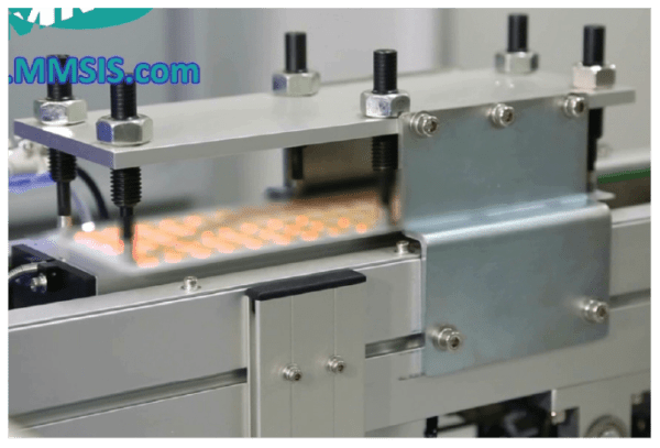 De-Gas and Flash Curing System | MOL42 - Image 2